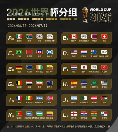 2026世界杯观赛体验深度评测：签证危机下的“冷场”困局